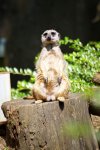 DSC05838-2.jpg
