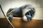 DSC05797-1.jpg