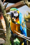 DSC05886-1.jpg