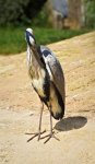 DSC05851-1.jpg