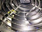 IMG_20160530_120209.jpg