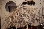 img_1856owsl6.jpg