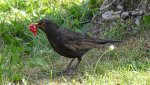 DSC05126.jpg