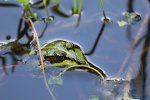 IMG_1382.jpg