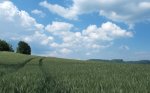 DSCF1220.jpg