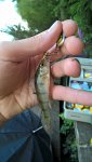 WP_20160626_18_24_06_Rich.jpg