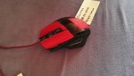 IMG_20160628_201810.jpg