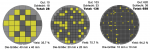 Wafer_die's_yield_model_(10-20-40mm)_-_Version_2_-_DE.png