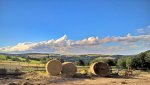 WP_20160703_18_46_58_Rich.jpg