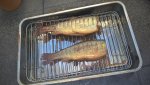 WP_20160710_12_10_56_Pro.jpg