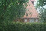 IMG_9978.JPG