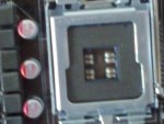 16052011164.jpg