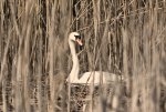IMG_5811_Duplex.jpg