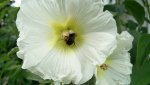 IMG_20160714_153024.jpg