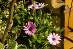 DSC08310_900.jpg