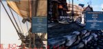 980ti vs 1080 heaven 1440p.jpg