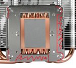 Arctic_Mono_plate_marked.jpg