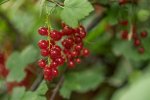 dsc01955.jpg