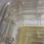 20160723_164116.jpg