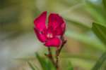 dsc02056.png