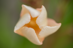 dsc02067.png