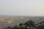 FlyPic1.jpg