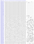 first786Byte.png