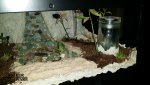 20160809_060712.jpg