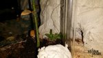 20160810_061344.jpg