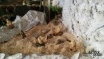 20160817_141213.jpg