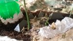 20160817_141222.jpg