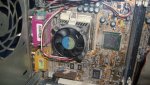 DSCI0954.jpg