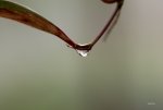 FlyPic5.jpg