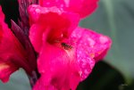 FlyPic (1).jpg
