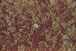 analog_test.png