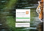 xampp fehler 2.jpg