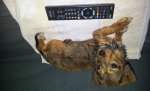 IMG-20160827-WA0005.jpg