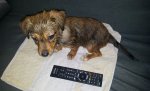 IMG-20160827-WA0002.jpg
