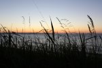 IMG_0038.jpg