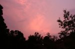 IMG_0336.jpg