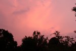 IMG_0335.jpg