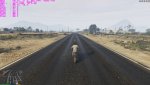 GTA5 2016-08-29 23-24-48-50.jpg