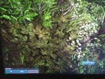 wgx8.jpg