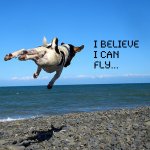 i believe i can fly.jpg