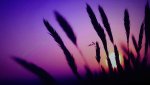 WIN_20160914_18_10_05_Pro.jpg