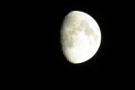 IMG_8509.JPG