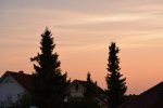 DSC_0298.jpg