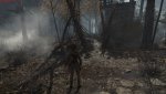 ROTTR_2016_09_24_12_53_30_872.jpg