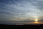FlyPic07.jpg