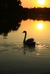 20160912_225607.jpg